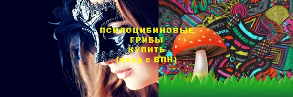 гидра Лиски