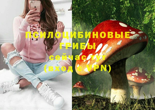 МДПВ Куйбышев