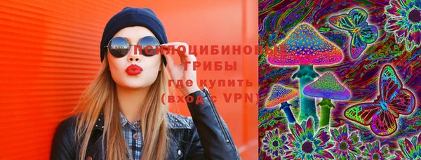 круглые Дубна