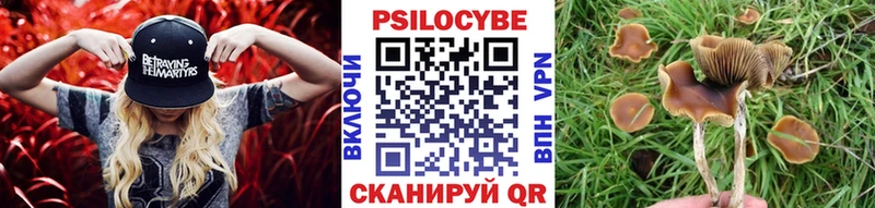 Галлюциногенные грибы MAGIC MUSHROOMS  наркота  hydra рабочий сайт  Кумертау 